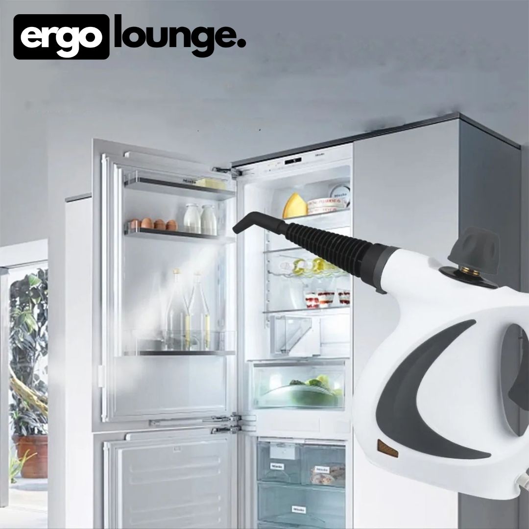 ErgoSteam™ EU 220V